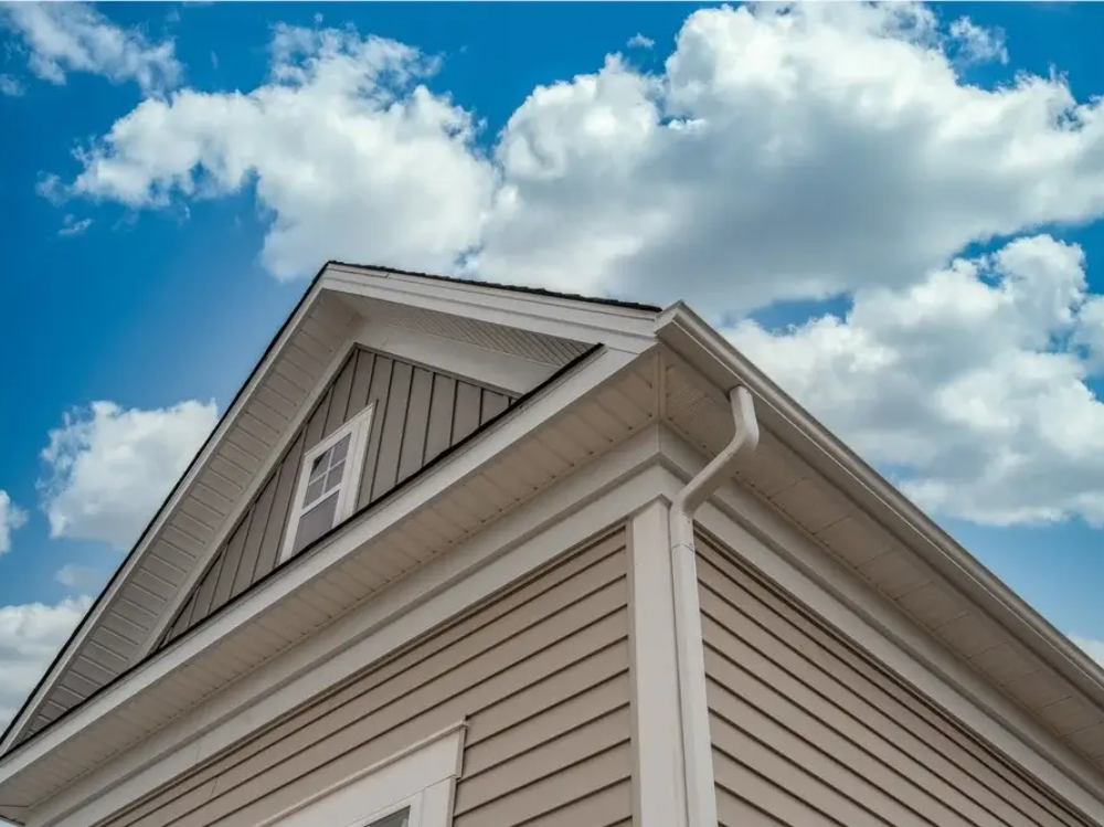 Siding and Fascia Replacement